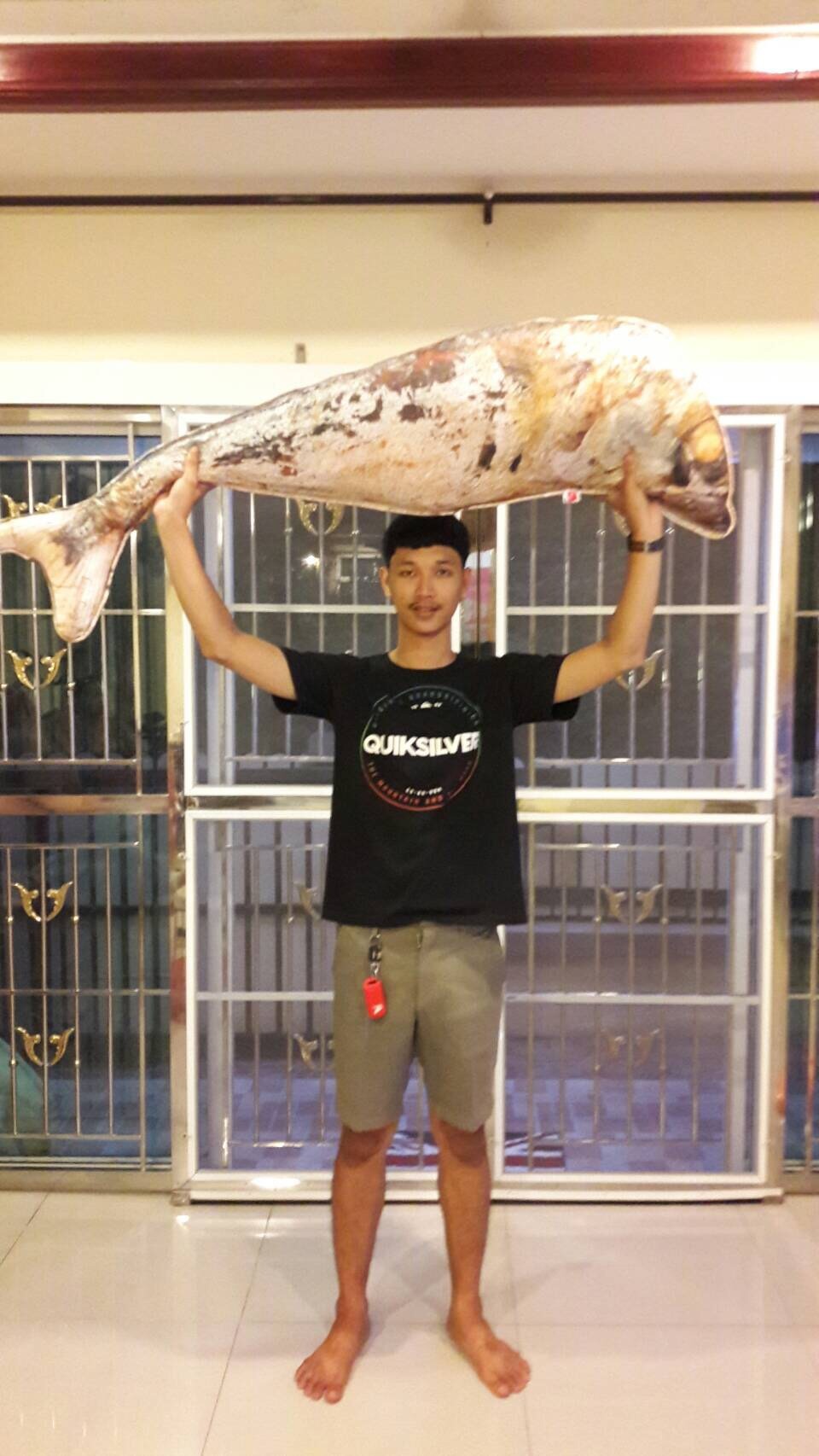 ได้หมอนข้างใบใหม่แล้ว