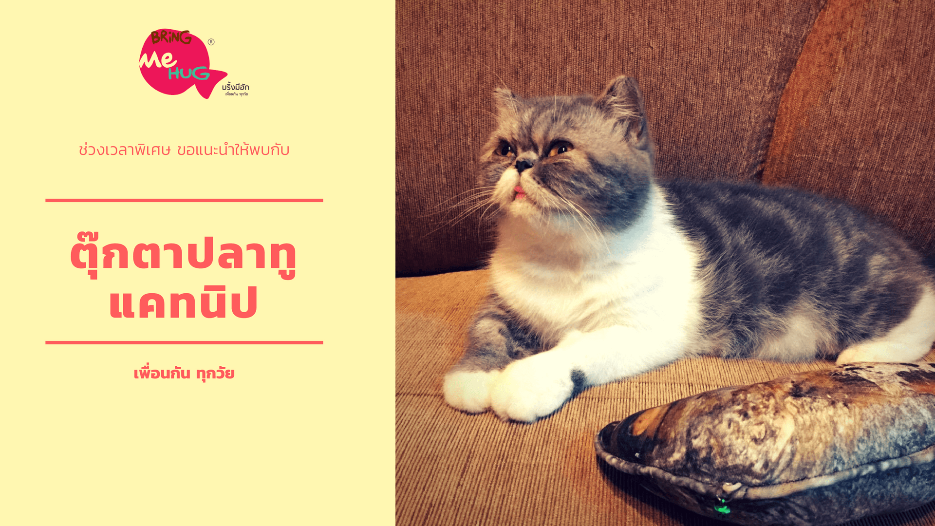 ตุ๊กตาปลาทูแคทนิป
