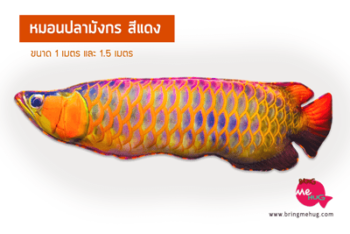 หมอนปลามังกรสีแดง
