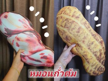 หมอนพิมพ์ลายรูปฝักถั่วต้ม