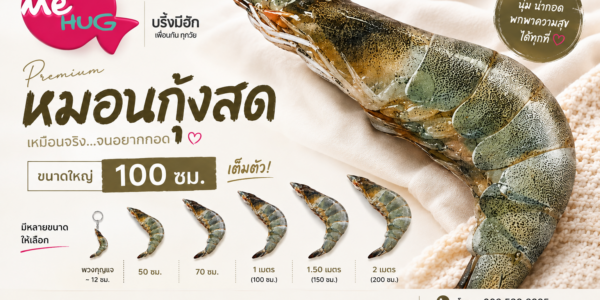 หมอนกุ้งสด