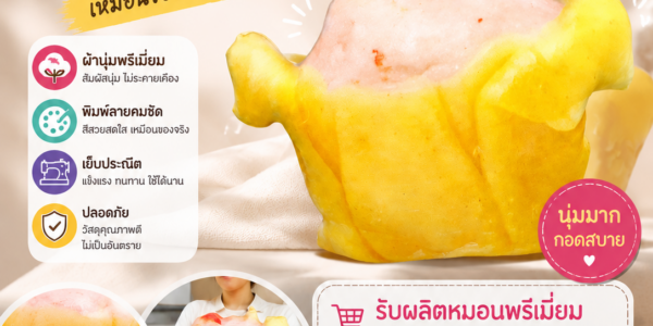 หมอนอาหาร