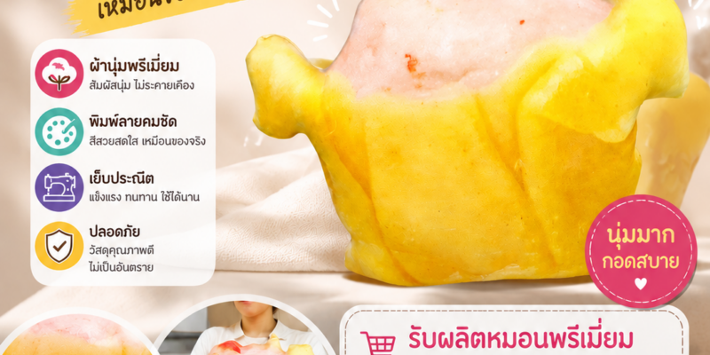 หมอนอาหาร